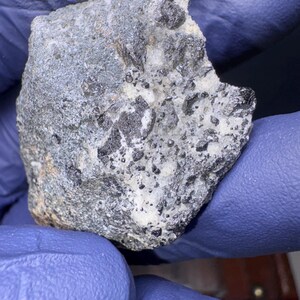 May include: A close-up of a rough, gray rock with black crystals embedded in it. The rock is being held in a blue nitrile glove.