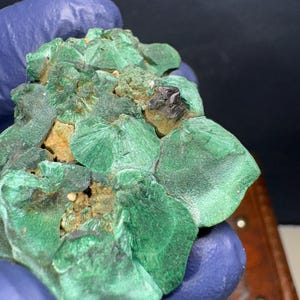 May include: A cluster of green malachite crystals with a dark green, almost black, crystal in the center.