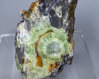 Wavellite natural mineral crystal specimen Mauldin Mtn Mt Ida Arkansas USA
