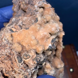 May include: A close-up of a rough, brown and white rock with small, white crystals. The rock has a layered texture and appears to be a natural specimen.