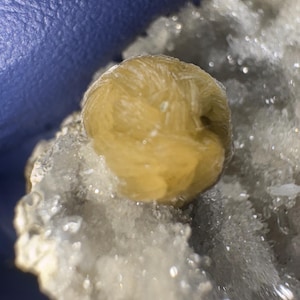 Fantastisk liten gyrolit på kvarts, äkta indisk skatt, naturliga kristaller, mineraldekor, läkande mineralprover
