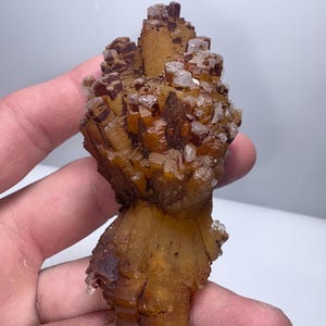 May include: A natural aragonite mineral specimen. The specimen features a cluster of golden-brown, crystalline structures with a rough, textured surface. Small, clear crystals are scattered throughout the piece, adding contrast. The mineral is held in a hand.