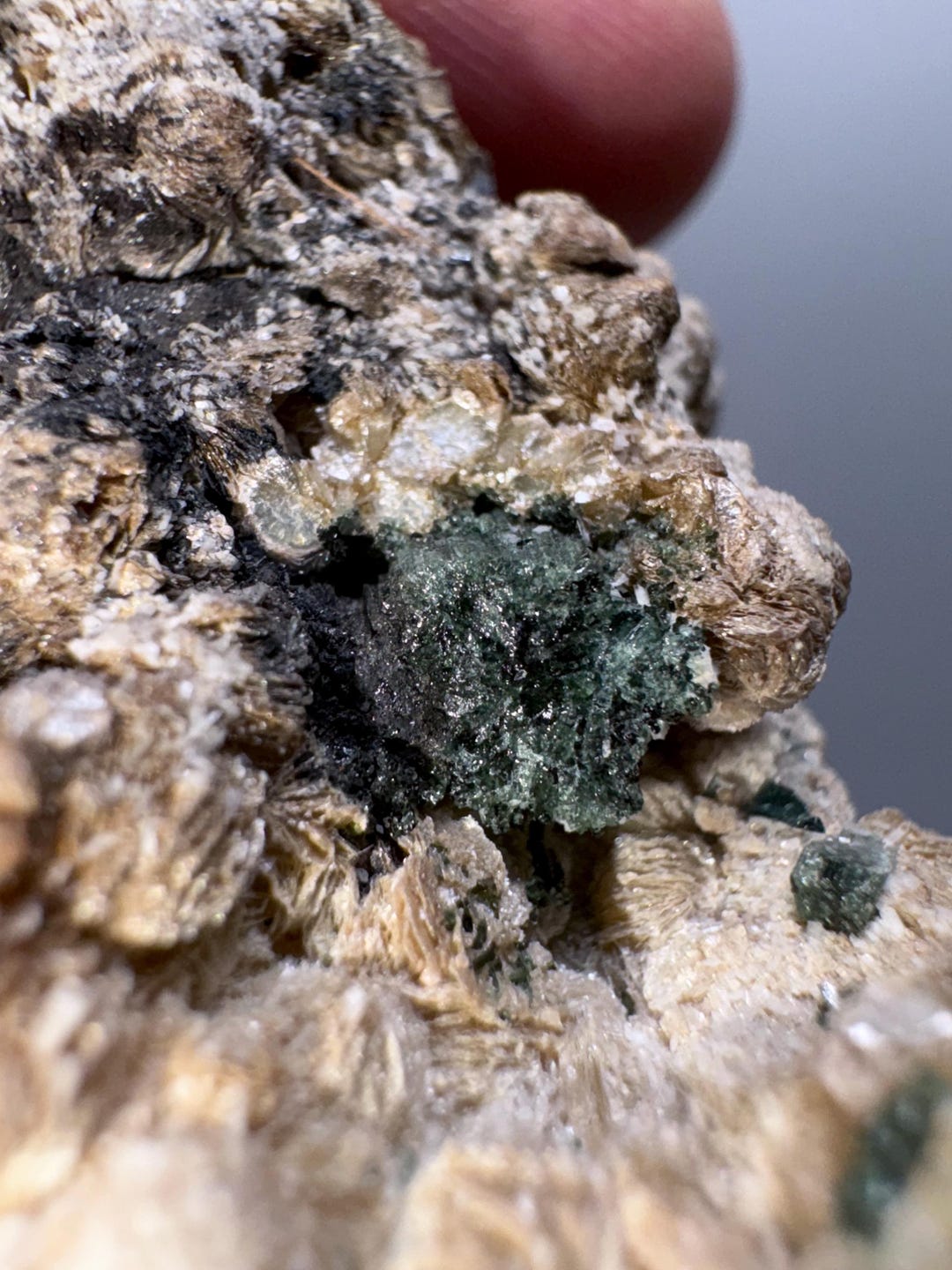 Albite Mica Tourmaline Natural Mineral Crystal Specimen Green Blue No ...