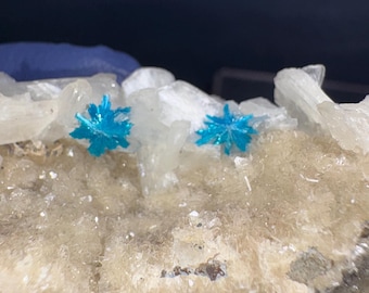 Stunning Cavansite on Stilbite Whagholi Quarry Poona India Natural crystals minerals decor healing mineral specimens