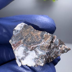 May include: A close-up of a rough, gray, white, and brown rock with a layered, striated texture. The rock has a natural, organic look.