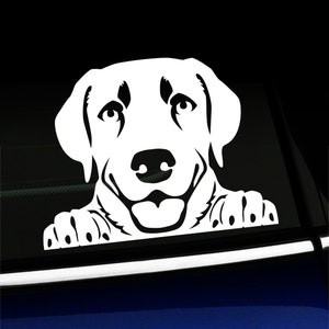 Peeking Lab - Labrador Retriever decal