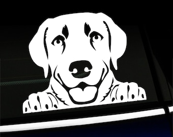 Peeking Lab - Labrador Retriever decal