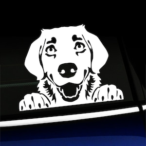 Peeking Golden Retriever - decal