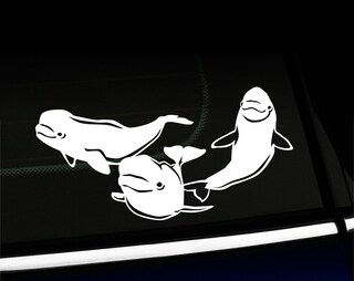 INDIGOS UG Adesivo Auto JDM – Orca Killer Whales – Bianco 93x88 Mm – Resistente Per Auto, Laptop, Vetri