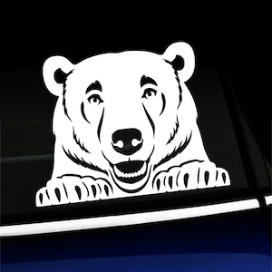 Peeking Bear - decal
