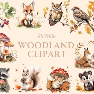 Woodland Animal Clipart, Watercolor Woodland Animal Clipart png Bundle, Animal png, Nursery Animal, Forest Animal Clipart, Bear Clipart