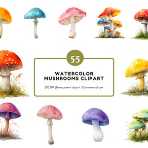 Mushroom Clipart png Bundle, Woodland Mushroom Clipart png, Mushrooms Clipart, Magic Mushroom Clipart, Red Mushroom Clipart png