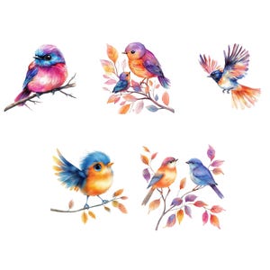 Whimsical Bird
Funny Bird Clipart
Crazy bird clip art
cute bird png
cartoon bird faces
Watercolor Clipart
watercolor birds
funny bird png
Bird scrapbook image
Quirky Bird
birds png
cartoon birds
Instant download