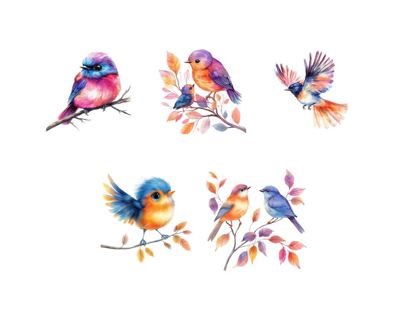 Whimsical Bird
Funny Bird Clipart
Crazy bird clip art
cute bird png
cartoon bird faces
Watercolor Clipart
watercolor birds
funny bird png
Bird scrapbook image
Quirky Bird
birds png
cartoon birds
Instant download