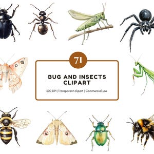 May include: Watercolor illustrations of various insects, including a black beetle, ant, grasshopper, spider, butterfly, praying mantis, bee, and moth. The image includes the text "BUG AND INSECTS CLIPART".