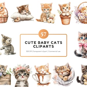 Aquarell süße Katze Clipart png Bundle, süße Baby Katze Clipart, süße Kätzchen Clipart, Katzen Clipart, Baby Katze Clipart, süße Katze Zeichnung Clipart