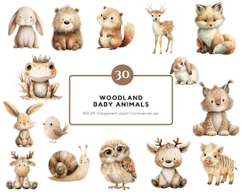 Woodland Animal Clipart-bundel, aquarel Woodland Baby Animal png, Woodland Portrait Clipart, Baby Shower Clipart, Boho Forest Animal png