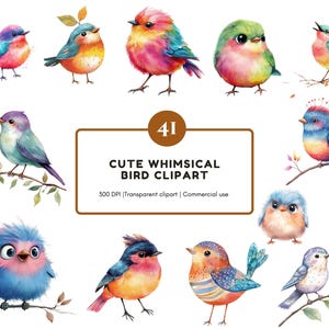 Watercolor Whimsical Birds Clipart png Bundle, Cute Birds Clipart, Little Birds Clipart, Whimsy Birds Clipart png, Funny Cute Birds Clipart