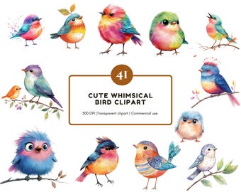 Aquarel grillige vogels clipart png bundel, schattige vogels clipart, kleine vogels clipart, Whimsy Birds clipart png, grappige schattige vogels clipart