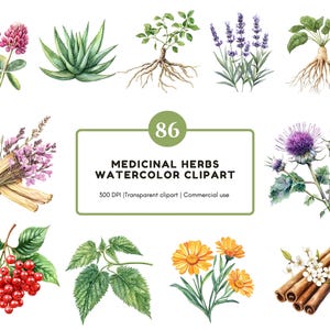 Clipart de ervas medicinais em aquarela, Pacote de clipart de ervas medicinais, Clipart de remédios herbais, Clipart de plantas medicinais, Clipart botânico