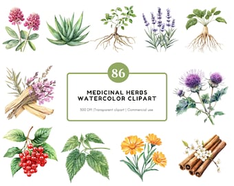 Watercolor Medical Herbs Clipart, Medical Herbs Clipart Bundle, Herbal Remedies Clipart, Medicinal Plants Clipart, Botanical Clipart