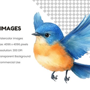Whimsical Bird
Funny Bird Clipart
Crazy bird clip art
cute bird png
cartoon bird faces
Watercolor Clipart
watercolor birds
funny bird png
Bird scrapbook image
Quirky Bird
birds png
cartoon birds
Instant download