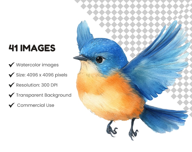 Whimsical Bird
Funny Bird Clipart
Crazy bird clip art
cute bird png
cartoon bird faces
Watercolor Clipart
watercolor birds
funny bird png
Bird scrapbook image
Quirky Bird
birds png
cartoon birds
Instant download