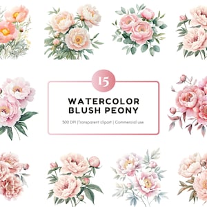 Aquarel pioen bloem clipart png bundel, blush pioen clipart, aquarel bloemen clipart, bruiloft clipart, bloemboeket clipart