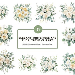 Könnte beinhalten: Aquarell-Clipart mit eleganten weißen Rosen und Eukalyptusblättern. Das Bild zeigt mehrere Blumenarrangements, einige Rosen sind gelblich gefärbt. Der Text lautet "Elegant White Rose and Eucalyptus Clipart".