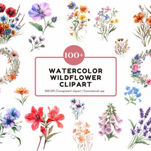Aquarell Blumenstrauß Clipart png Bundle, Wildblumen Clipart png, Sommer Wildblume png, Wiese Blumen Clipart, Blumen Clipart