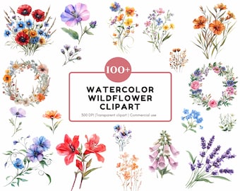 Paquete de imágenes prediseñadas de flores silvestres en acuarela, PNG floral (descarga digital)