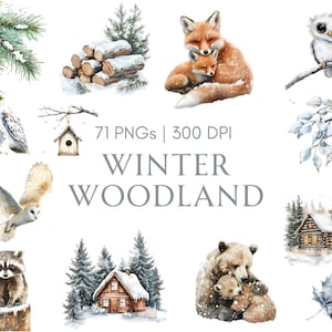 Pacote de clipart de floresta de inverno, clipart de floresta de inverno em aquarela, clipart de animais de inverno, animal fofo png, clipart de animal da floresta png