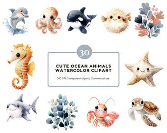 Watercolor Ocean Animal Clipart Bundle, Cute Ocean Animal Clipart png, Sealife Clipart, Underwater Clipart, Under The Sea Clipart png