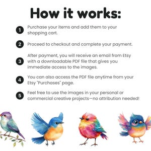 Whimsical Bird
Funny Bird Clipart
Crazy bird clip art
cute bird png
cartoon bird faces
Watercolor Clipart
watercolor birds
funny bird png
Bird scrapbook image
Quirky Bird
birds png
cartoon birds
Instant download