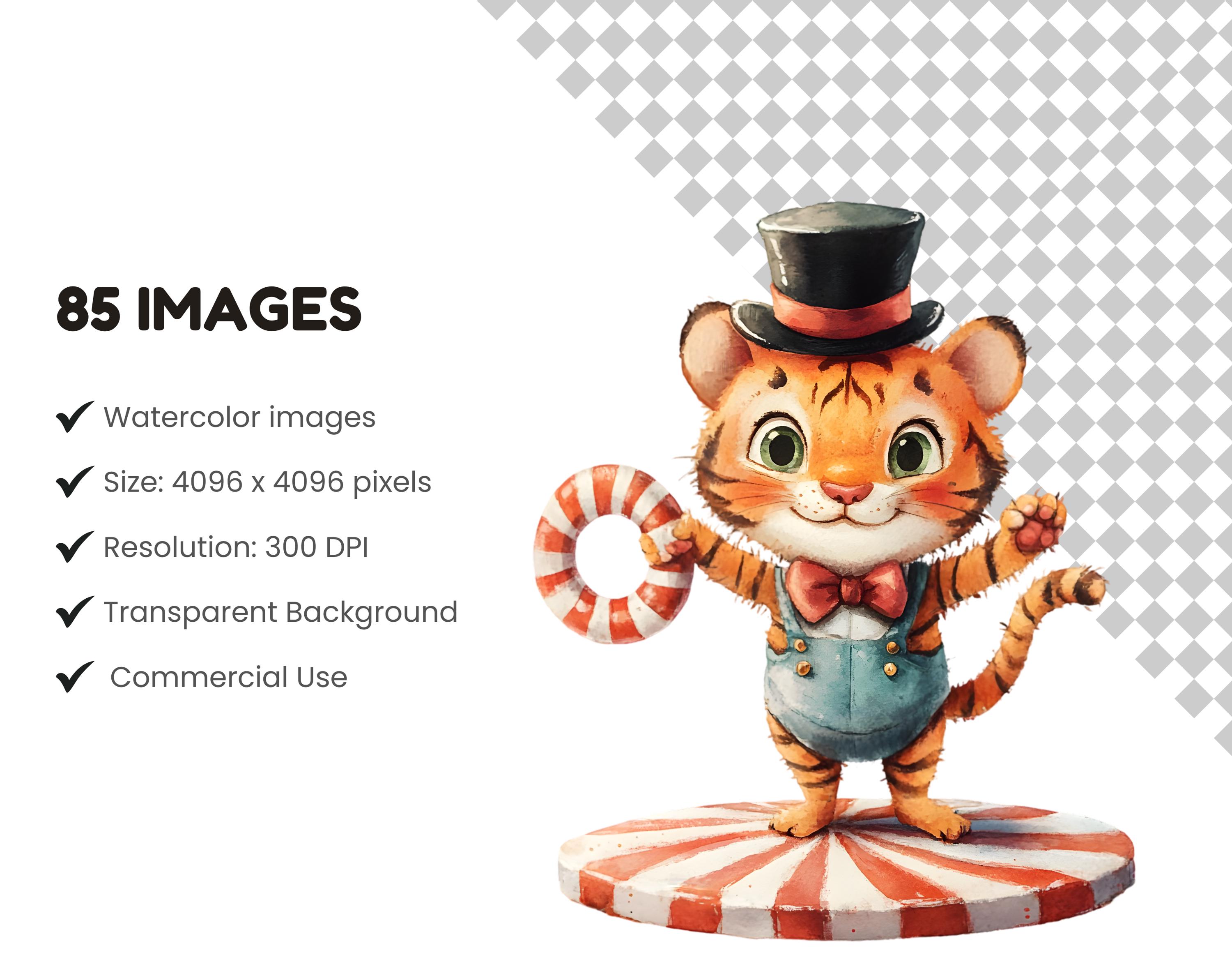 Circus Show Clipart Bundle Png, Watercolor Circus Clipart Png, Cute ...