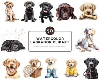 May include: Watercolor clipart featuring various Labrador retrievers in different poses. The collection includes puppies and adult dogs in shades of black, brown, and yellow. Some dogs are sitting, lying down, or holding objects. The image also includes text that reads "50 Watercolor Labrador Clipart".