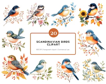 Scandinavian Birds Clipart Bundle, Watercolor Birds Clipart png, Floral Bird Clipart, Watercolor Scandinavian Bird png, Instant Download