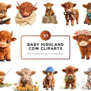 Süße Highland Kuh, Aquarell Niedliche Baby Highland Kuh Clipart, Baby Kuh Clipart, Clipart, Kinderzimmerdeko