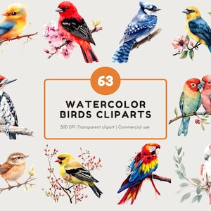 Quirky Birds Clipart Bundle png, Pássaros Clipart, Pássaro Colorido Clipart, Pássaro Aquarela png, Pássaro Primavera Clipart, Download Digital