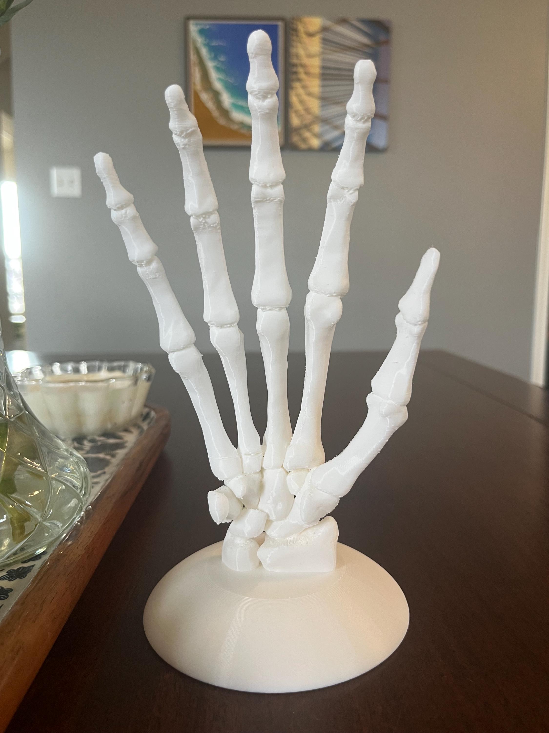 Anatomical Hand Model: Detailed Anatomy Replica, Educational Tool - Etsy