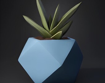 Succulent Plant with Geometric Low-Poly Planter