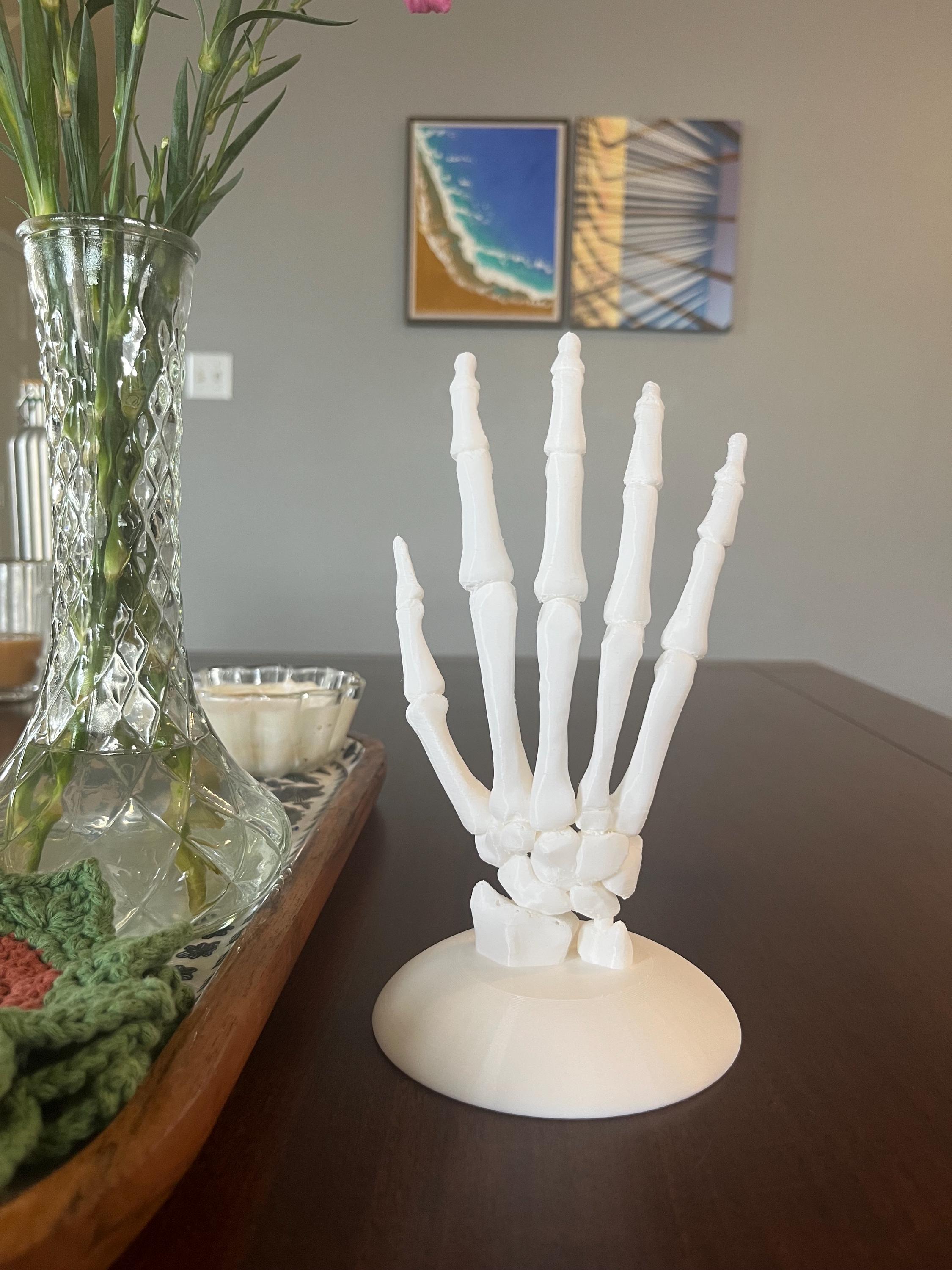 Anatomical Hand Model: Detailed Anatomy Replica, Educational Tool - Etsy