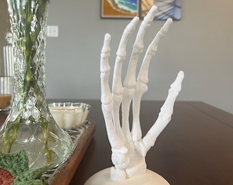 May include: White skeletal hand sculpture with a white base. The hand is posed with the palm facing up and the fingers slightly spread apart.