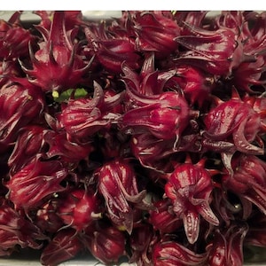 50 Jamaican Sorrel Hibiscus Roselle Seeds Sabdariffa Sour Leaf Chin Baung / Florida Cranberry