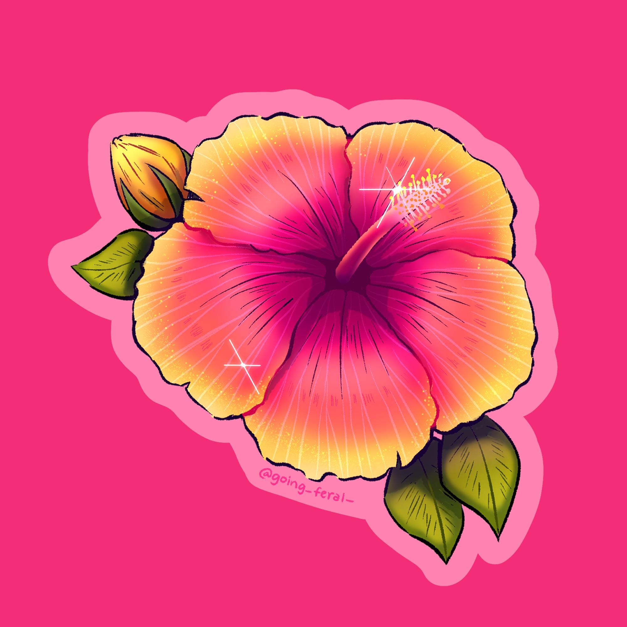 Hibuscus Sticker Hibiscus Flower Sticker - Etsy