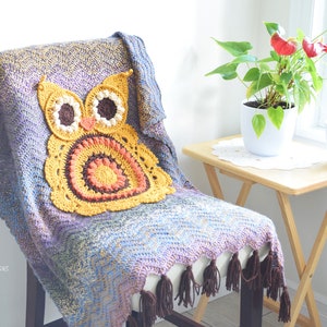 CROCHET PATTERN Retro Owl Blanket image 1