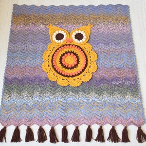 May include: A handmade crochet owl-themed blanket with a chevron pattern in shades of blue, purple, and brown. The owl is yellow, orange, and brown. The blanket has a fringe of brown tassels along the bottom. The blanket is approximately 30 inches wide and 30 inches long.