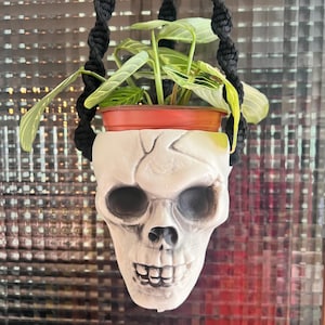 Op de afbeelding: Een witte schedelvormige plantenpot met een kleine groene plant, opgehangen aan een zwarte macramé hanger. De schedel heeft donkere oogkassen en een gebarsten oppervlak. De plant heeft groen-wit gestreepte bladeren.