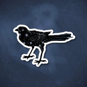 Star Crow Sticker, Cool Illustrated Raven Sticker, Y2K Grunge Sticker Decal, Whimsical Gothic Black Sticker, Aesthetic Art Celestial Sticker