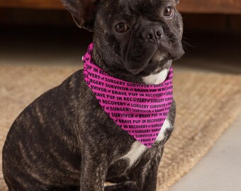 Pink Brave Pup Dog Bandana: ACL Surgery Recovery Accessory